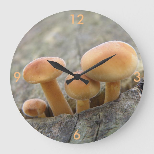 Taburetes en un reloj de pared del tronco del árbo (Anverso)