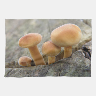 Taburetes en una toalla de cocina troncal de árbol