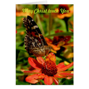 Tacto de mayo Cristo usted