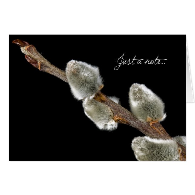 Tacto suave (Anverso (Horizontal))