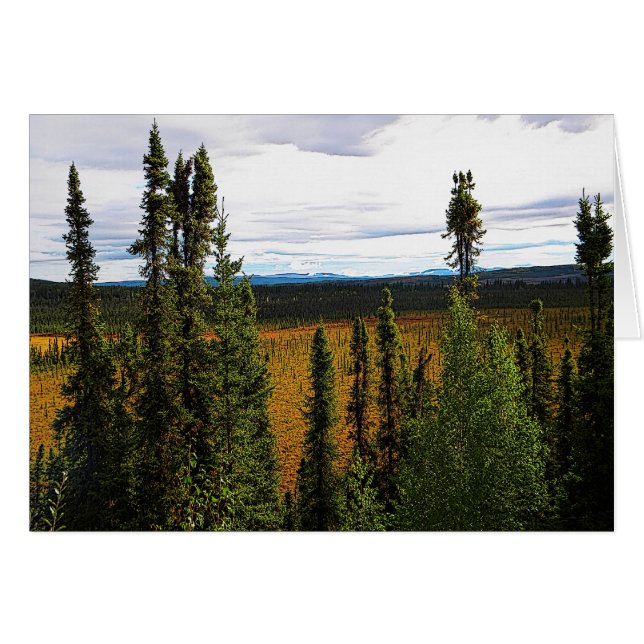 Taiga Summer (Anverso (Horizontal))