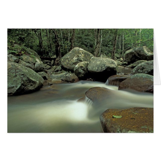 Tailandia, isla de Kohsamui, paisaje de selva trop (Anverso (Horizontal))