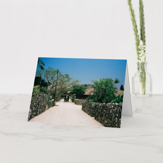 taketomi_iland okinawa japan (Flor)