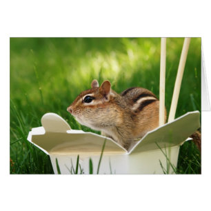 Taking Loving Chipmunk