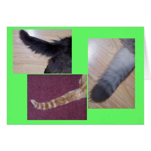 Tales (Anverso (Horizontal))