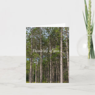 Tall Pines Pensando En Tu Tarjeta
