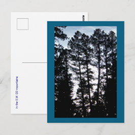 Tall Trees en la postal de las montañas CO