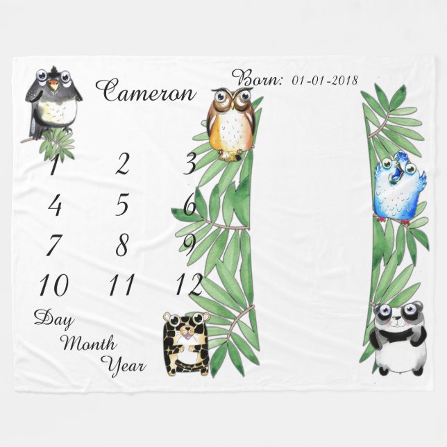 Talla 80 x 60 de la manta del jalón del bebé del (Frente (Horizontal))