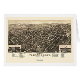 Tallahassee, mapa panorámico de FL - 1885