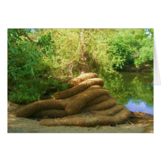 Tallo de árbol espeluznante