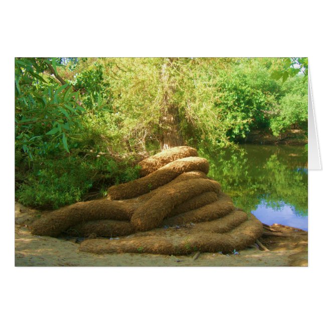 Tallo de árbol espeluznante (Anverso (Horizontal))