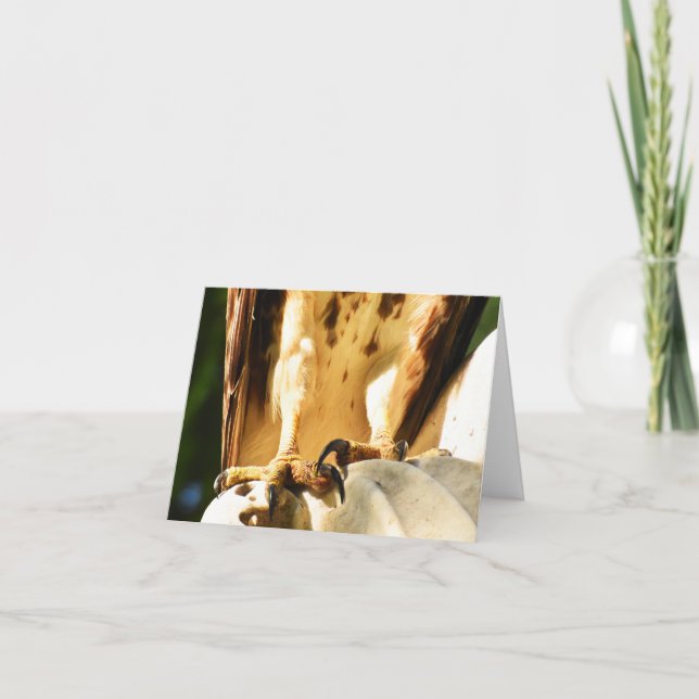 Talones (Hawk de cola roja #2) - Tarjeta de nota e (Anverso)