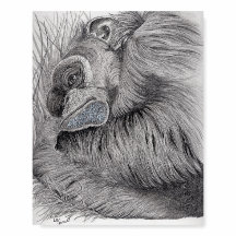 Tammy the Chimp - Junta de espuma