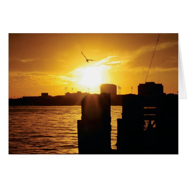 Tampa Bay (Anverso (Horizontal))