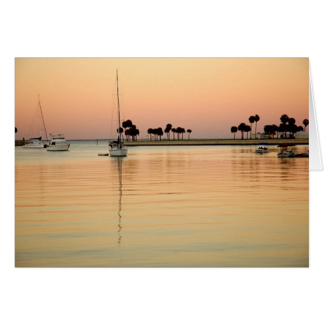 Tampa, Florida (Anverso (Horizontal))