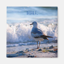 Tampa, imán del refrigerador de FL