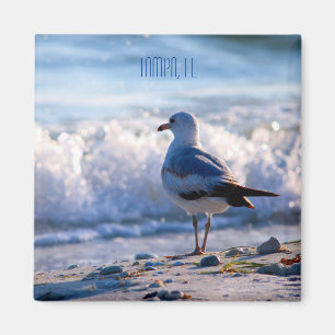 Tampa, imán del refrigerador de FL