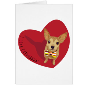 Tan Chihuahua con corbata de arco en un corazón ro