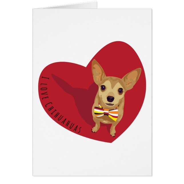 Tan Chihuahua con corbata de arco en un corazón ro (Frente)