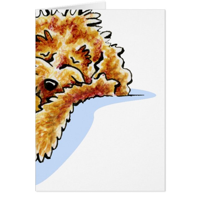 Tan Cockapoo Dream (Frente)