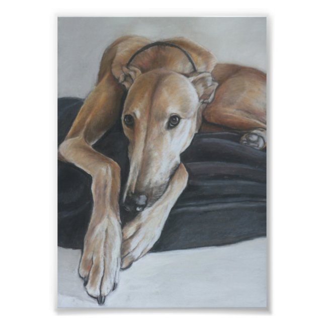 Tan Greyhound Dog Foto de arte (Frente)