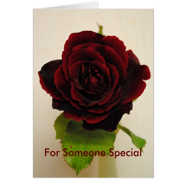 Tan Rojo El Rosa (Frente)