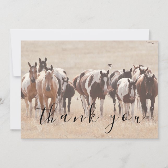 Tan White Brown Horses Tarjeta de agradecimiento (Anverso)