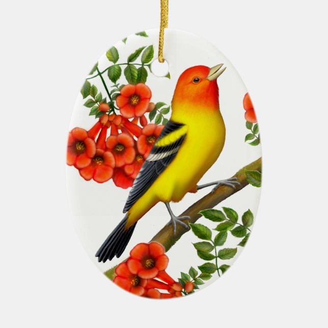 Tanager occidental en ornamento de vino de trompet (Frente)