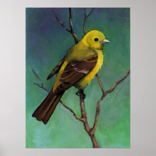 Tanager occidental, poster del arte de la fauna