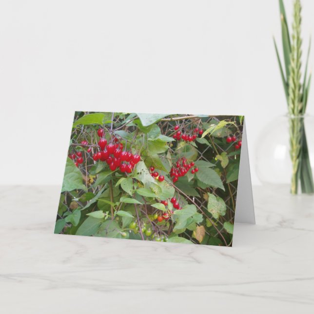 "Tangled Vine", mejor tarjeta (Anverso)