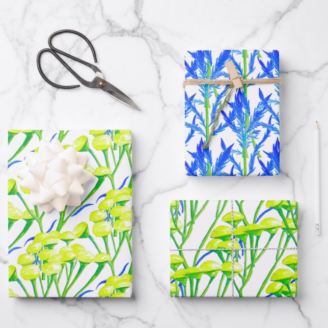 Tansy en un conjunto de papel de ajuste de 3 (Anverso)