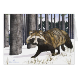 Tanuki - Perro Raccoon