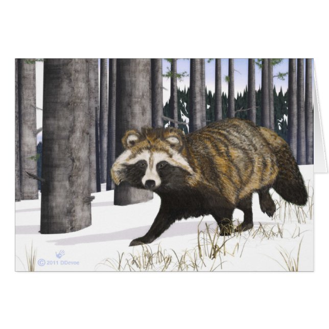 Tanuki - Perro Raccoon (Anverso (Horizontal))