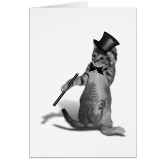 Tap Dancing Cat