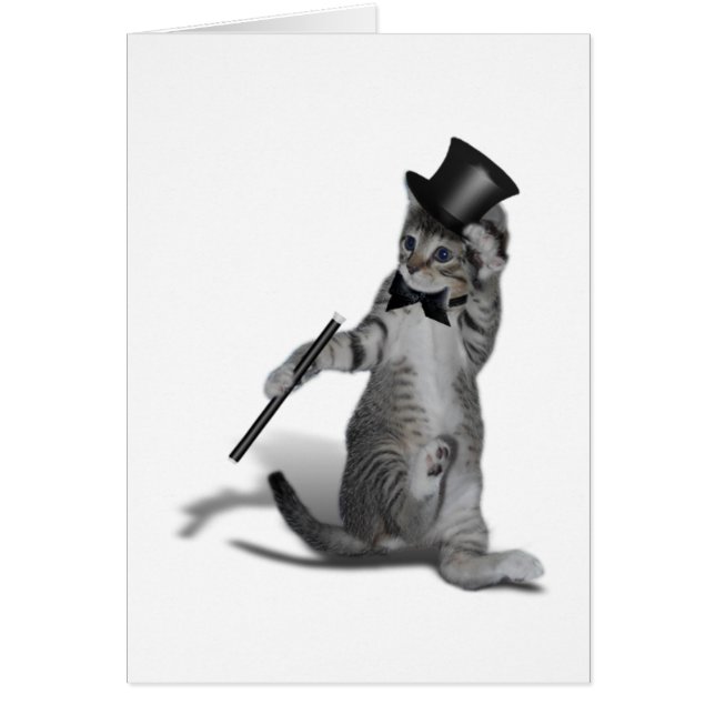 Tap Dancing Cat (Frente)