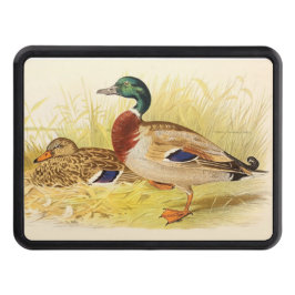 Tapa de garrapatas del pato mallard