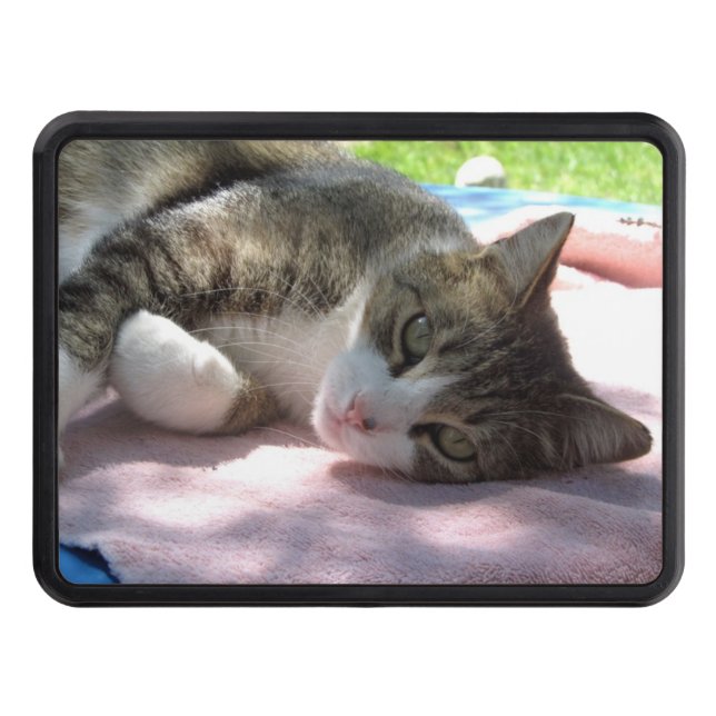 Tapa de hitch del gran chico de la mesa (Anverso)