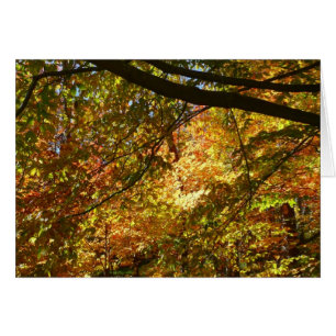 Tapa de hojas de otoño en la naturaleza otoñal ama