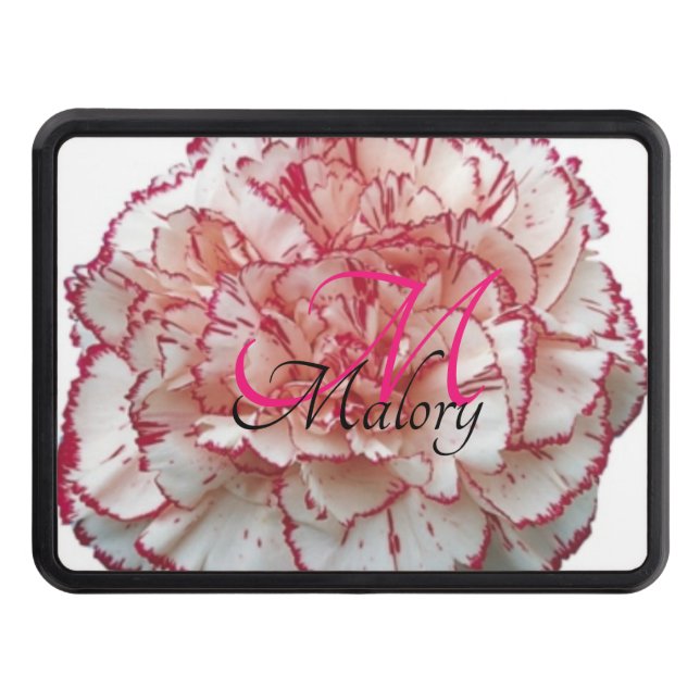 Tapa de la abertura de la abertura de la cubierta  (Anverso)