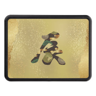 Tapa de la abertura del dragón de kanji japonés 20