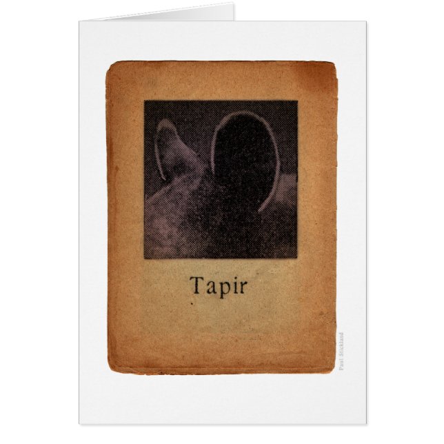 Tapir (Frente)