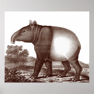 Tapir malasio en un paisaje desde la impresión ant