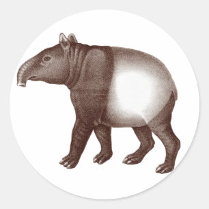 Tapir malayo / Tapir asiático - Pegatinas