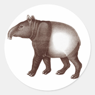 Tapir malayo / Tapir asiático - Pegatinas