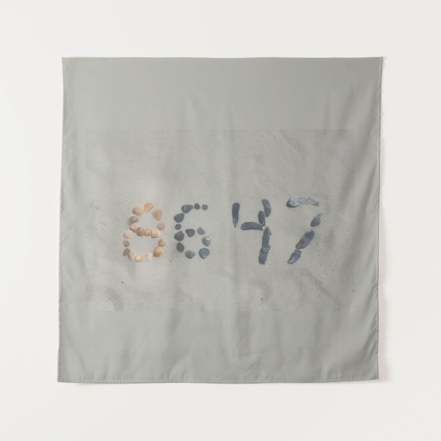 TAPIZ 8647 (Anverso)