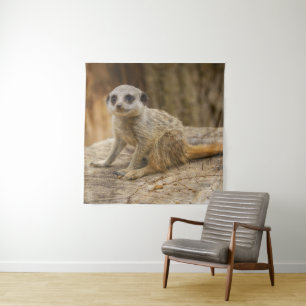 Tapiz Adorable Meerkat Baby