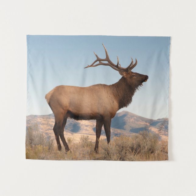 Tapiz Alce macho cerca de Mammoth | Wyoming (Anverso (horizontal))