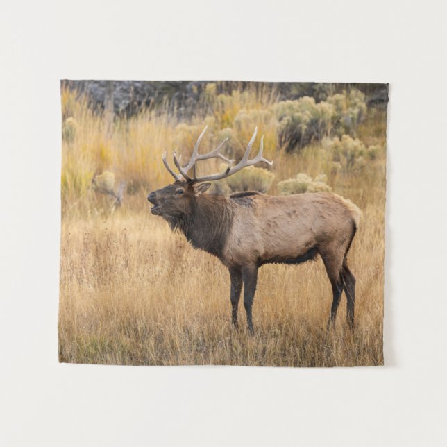 Tapiz Alce macho | Parque Nacional de Yellowstone (Anverso (horizontal))