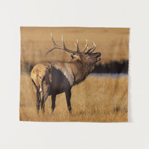Tapiz Alce macho Roosevelt Wyoming