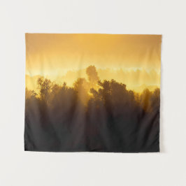 Tapiz Amanecer detrás de árboles nublados